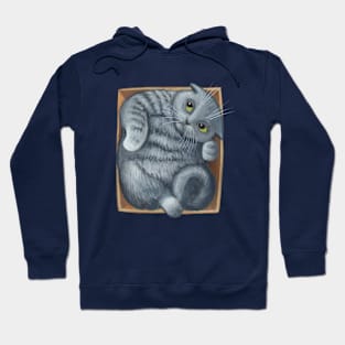 The Cat in the Box Hoodie